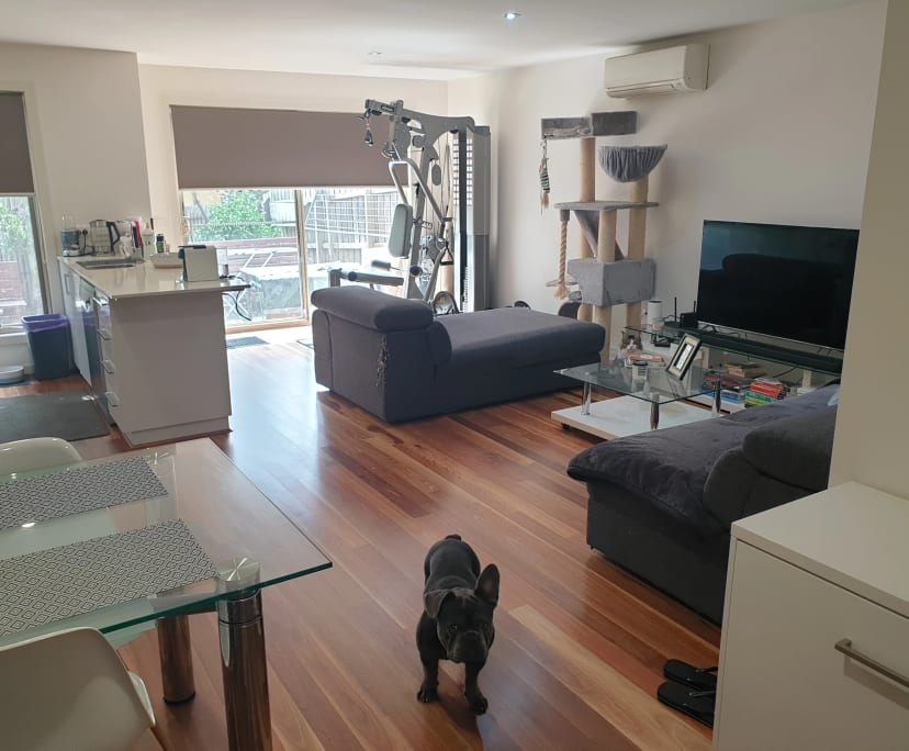 Room for Rent in Eltham, Melbourne 250, Furnished...