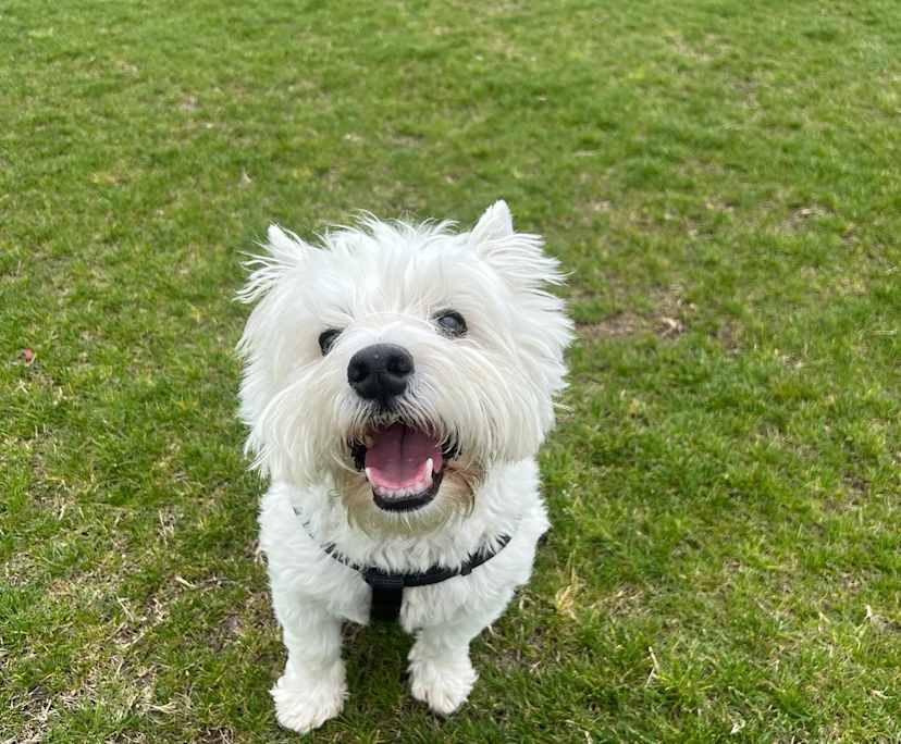 $250, Share-house, 4 bathrooms, Officer VIC 3809