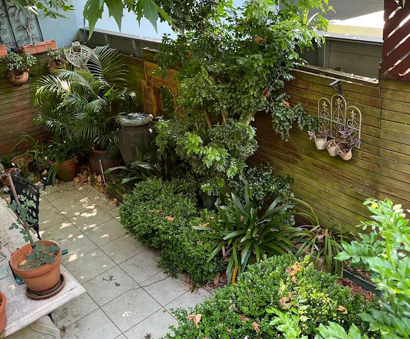$450, Share-house, 3 bathrooms, Pyrmont NSW 2009