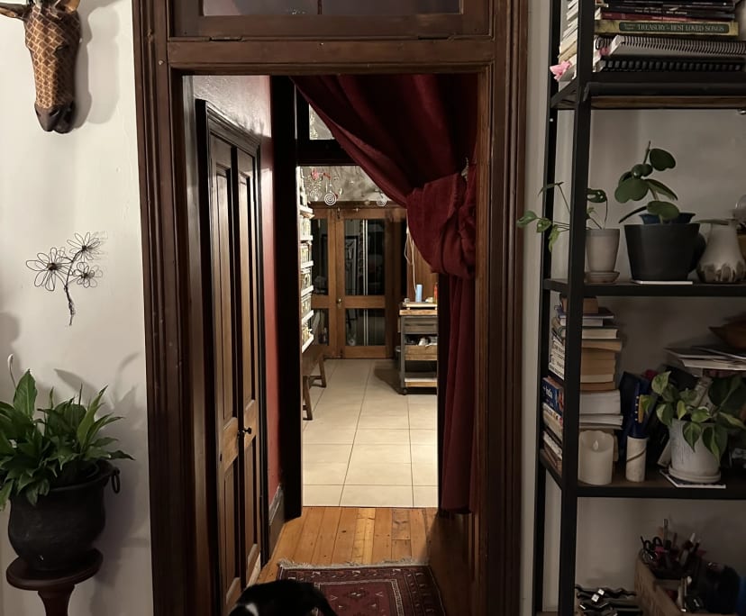 $400, Share-house, 3 bathrooms, Newtown NSW 2042