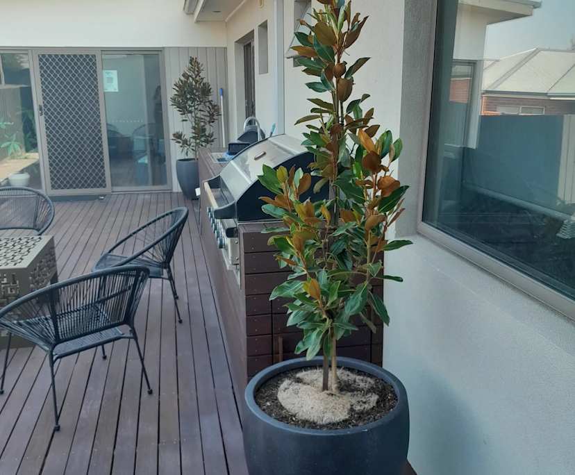 $210, Share-house, 4 bathrooms, Belmont VIC 3216