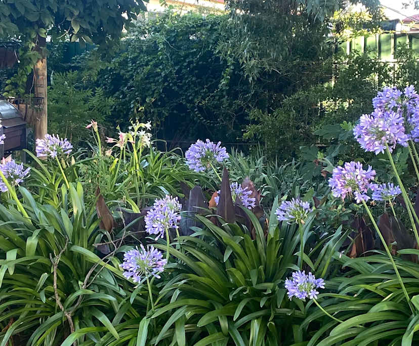 $275, Share-house, 2 rooms, Parkes NSW 2870, Parkes NSW 2870