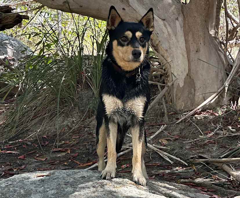 Room in a share house
