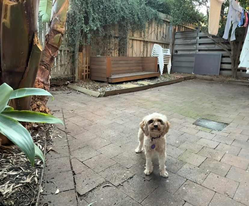 $340, Flatshare, 3 bathrooms, Brighton VIC 3186