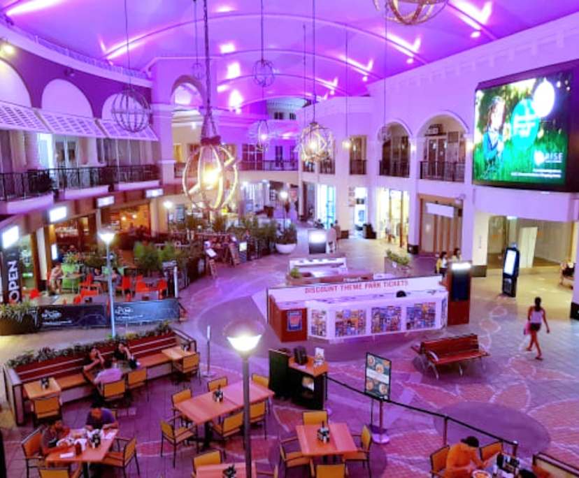 $500, Flatshare, 2 bathrooms, Surfers Paradise QLD 4217