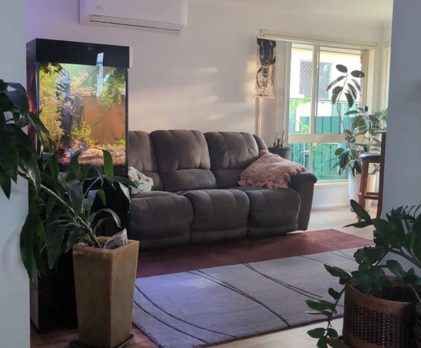 Whole property with 3 rooms for rent