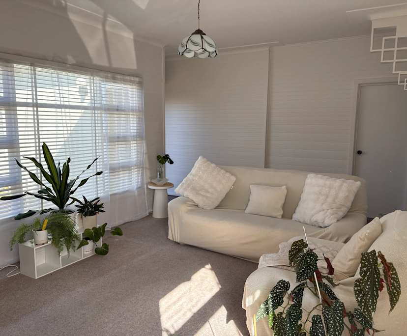 Room in a share house