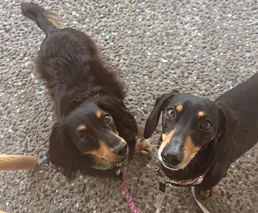 $305, Share-house, 3 bathrooms, Mermaid Waters QLD 4218