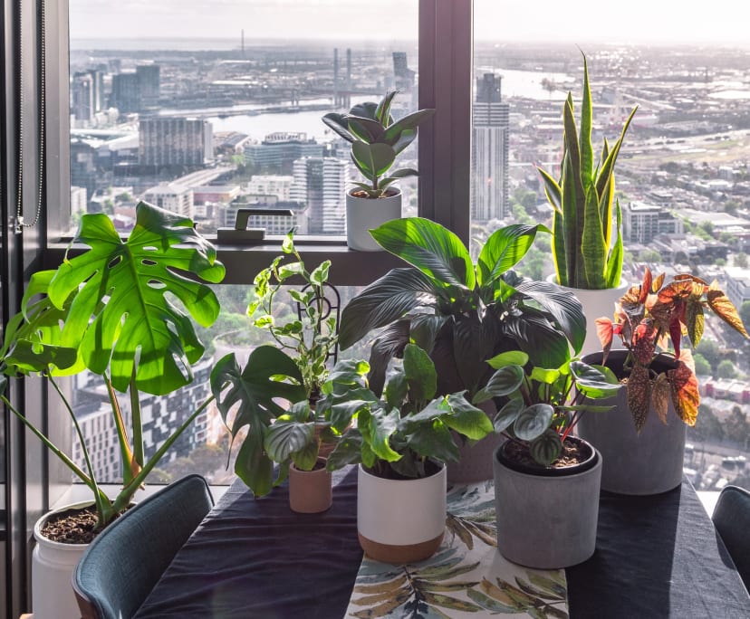 $520, Flatshare, 2 bathrooms, Melbourne VIC 3000