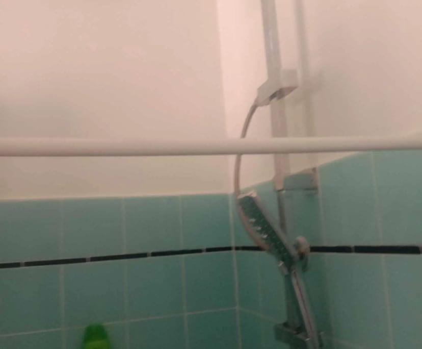 $375, Flatshare, 2 bathrooms, Monterey NSW 2217