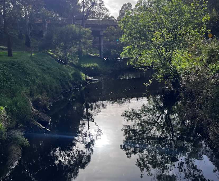 $315, Share-house, 3 bathrooms, Marden SA 5070