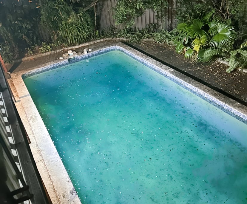 $350, Share-house, 5 bathrooms, Southport QLD 4215