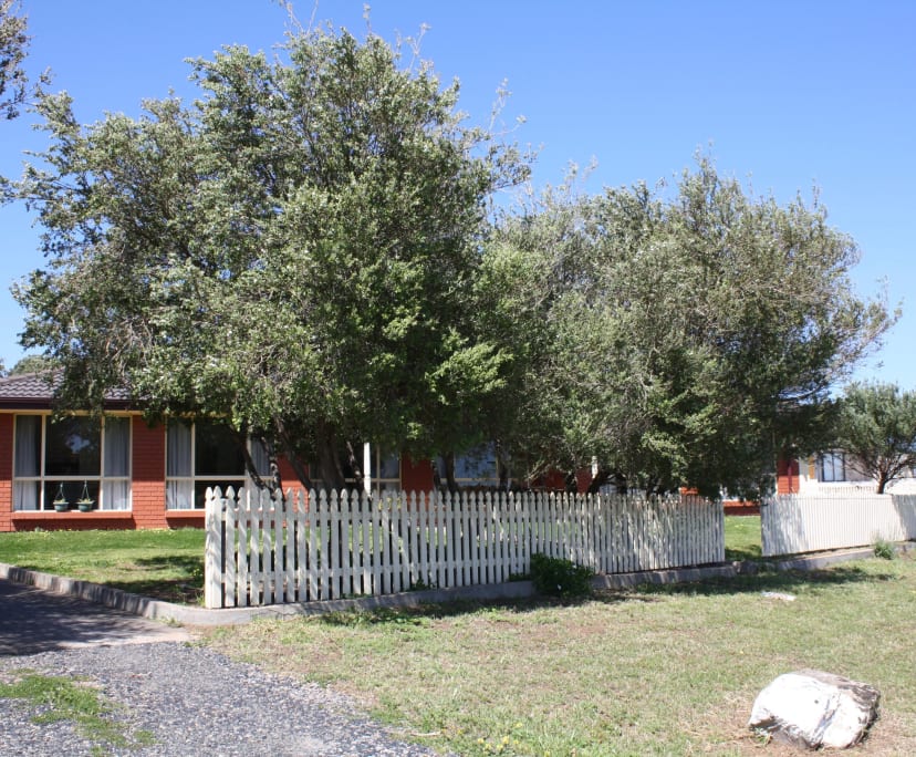 Whole property with 4 rooms for rent