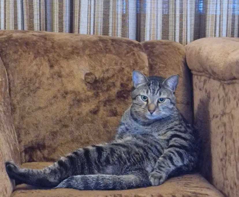 $366, Share-house, 4 bathrooms, Bangor NSW 2234