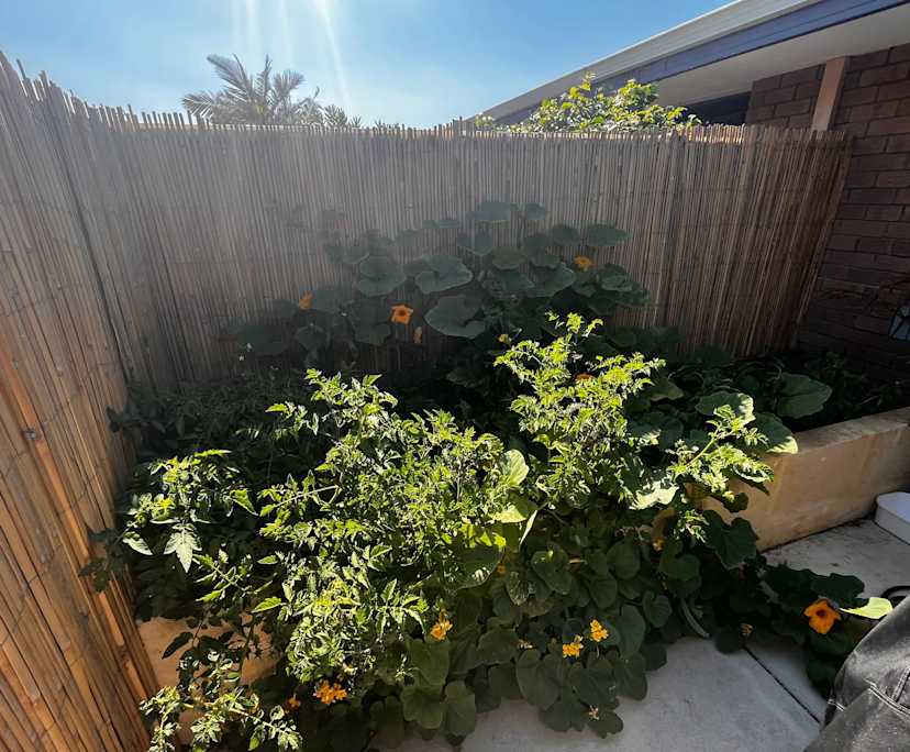 $400, Share-house, 2 bathrooms, North Beach WA 6020