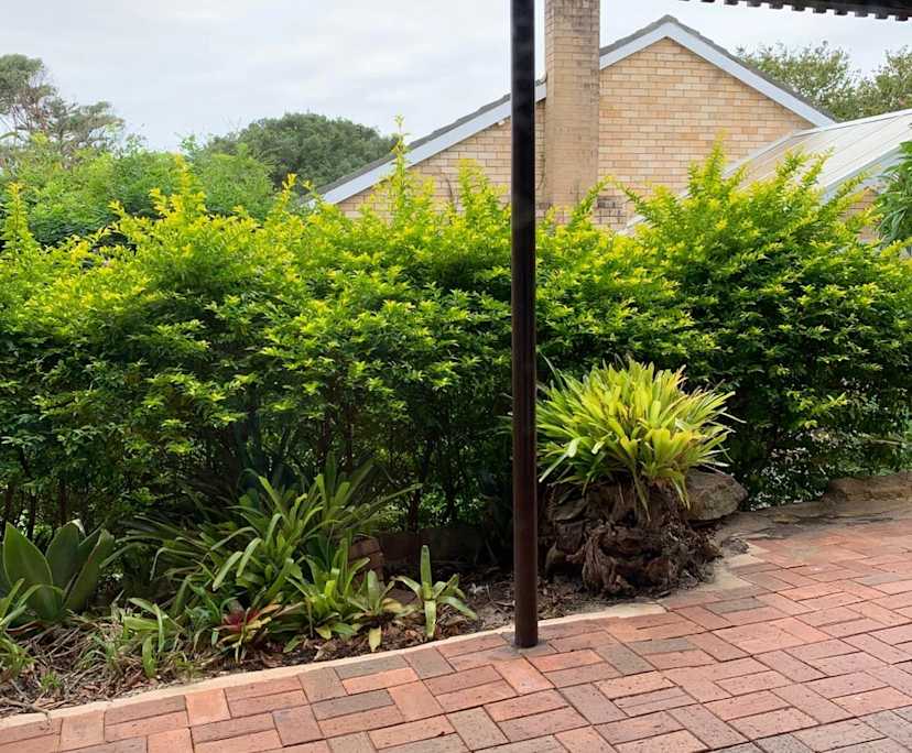 $590, Granny-flat, 1 bathroom, Manly Vale NSW 2093