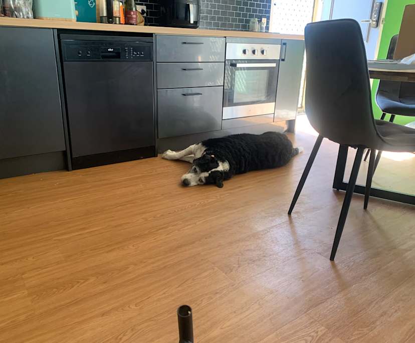 $320, Share-house, 2 bathrooms, Burleigh Waters QLD 4220