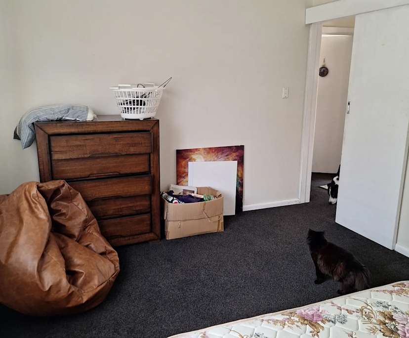 Room in a share house