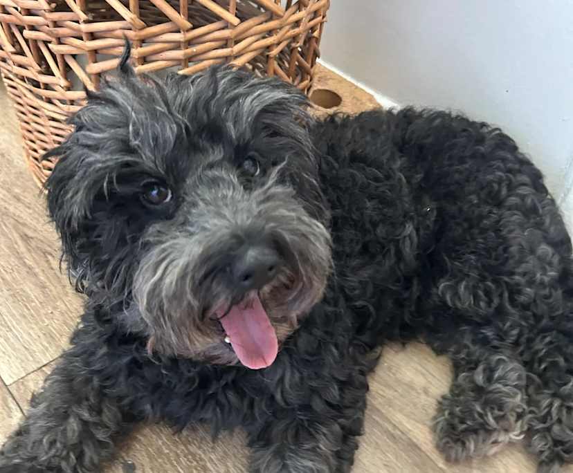 $450, Share-house, 3 bathrooms, New Farm QLD 4005