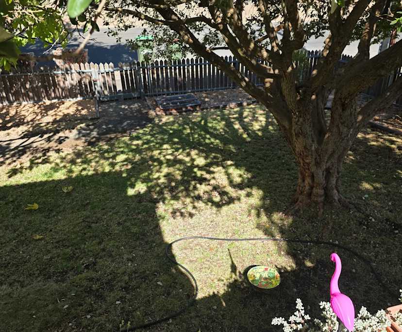 $250, Share-house, 3 bathrooms, Angaston SA 5353