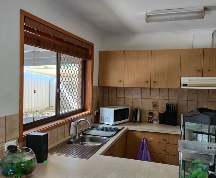 Room for Rent in Wodonga, VIC 200, Furnished, Sha...