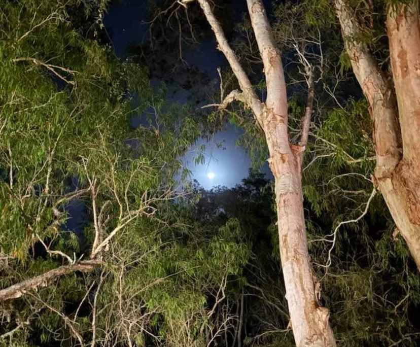 $300, Flatshare, 2 bathrooms, Yorkeys Knob QLD 4878