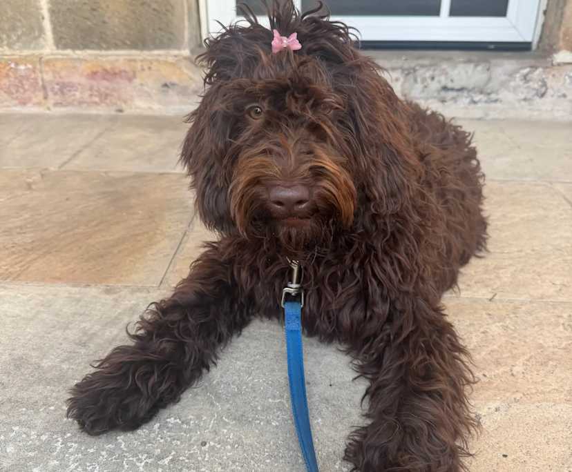 $400, Share-house, 3 bathrooms, Parramatta NSW 2150