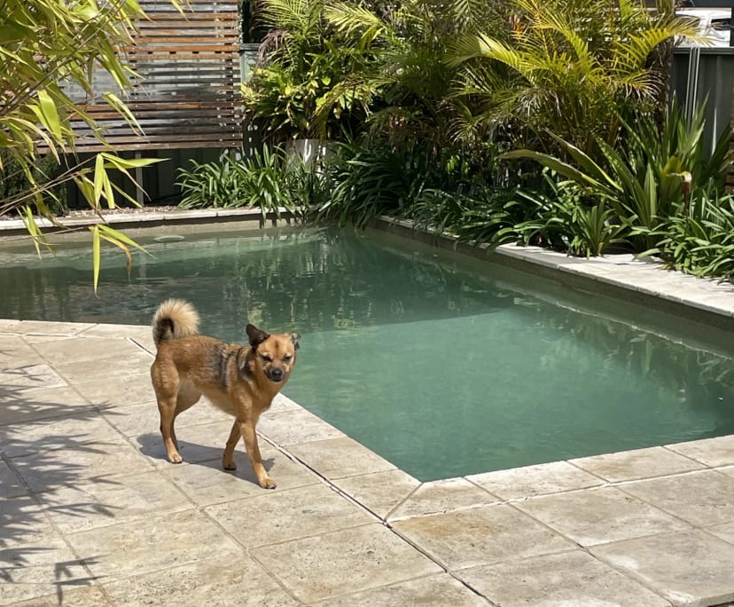 Unfurnished room in a share house