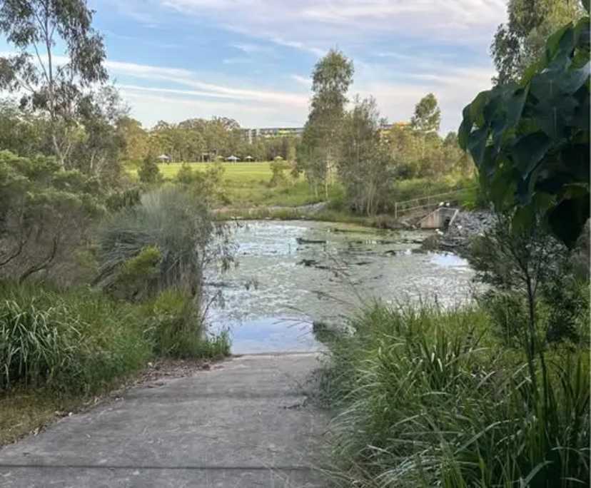 $435, Flatshare, 2 bathrooms, Southport QLD 4215