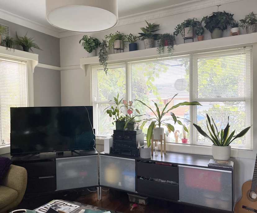 $380, Share-house, 2 bathrooms, Bentleigh East VIC 3165