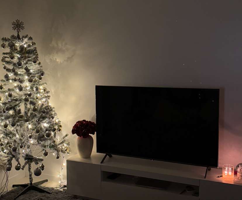 Whole property with 2 rooms for rent