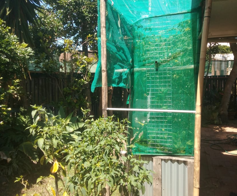 $315, Flatshare, 2 bathrooms, Sunrise Beach QLD 4567