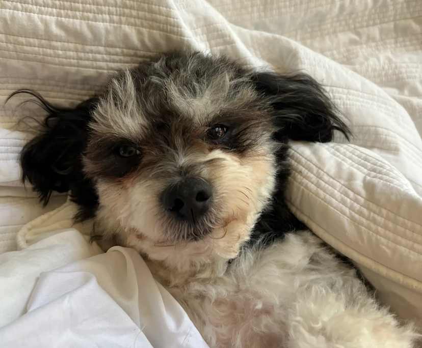 $235, Share-house, 3 bathrooms, Reservoir VIC 3073