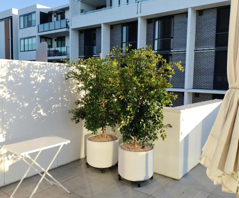 $600, Flatshare, 2 bathrooms, Botany NSW 2019