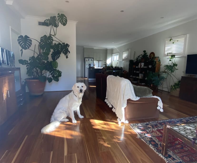 propertyImage