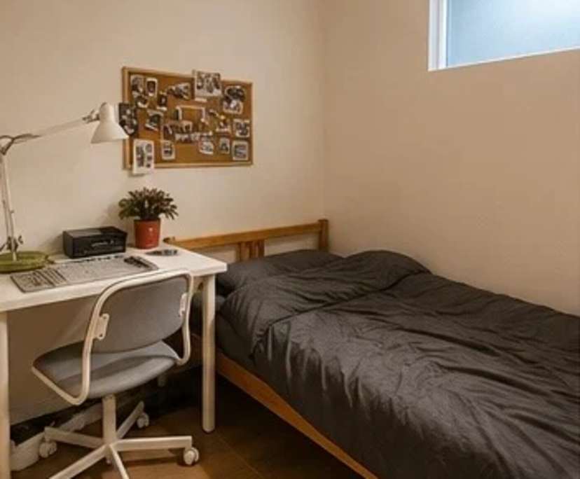 Whole property with 3 rooms for rent
