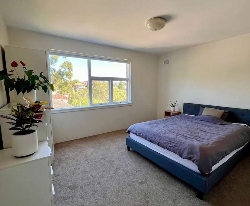 $520, Flatshare, 2 bathrooms, Rose Bay NSW 2029