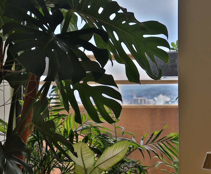 $745, Flatshare, 3 bathrooms, Bondi Junction NSW 2022