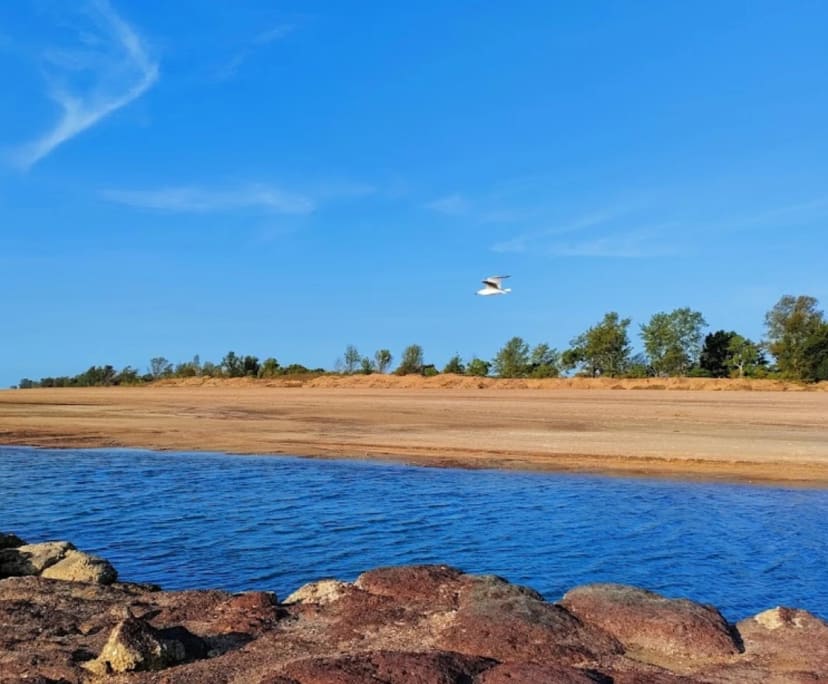 $250, Share-house, 4 bathrooms, Rapid Creek NT 0810