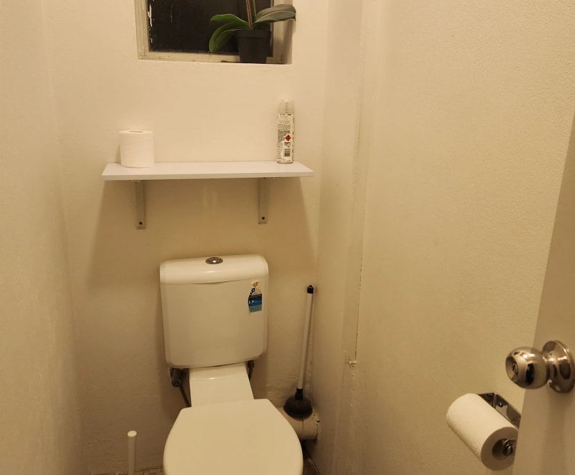 $275, Flatshare, 3 bathrooms, Randwick NSW 2031