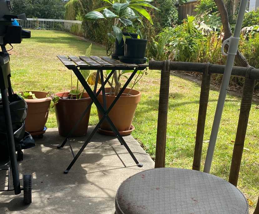 $325, Flatshare, 2 bathrooms, Cammeray NSW 2062