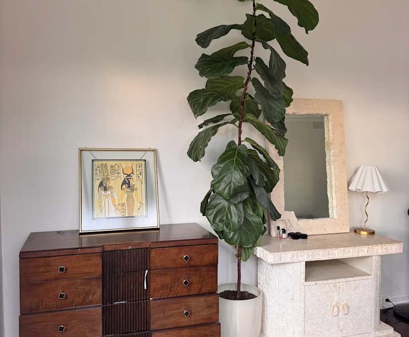 $700, Flatshare, 3 bathrooms, Vaucluse NSW 2030