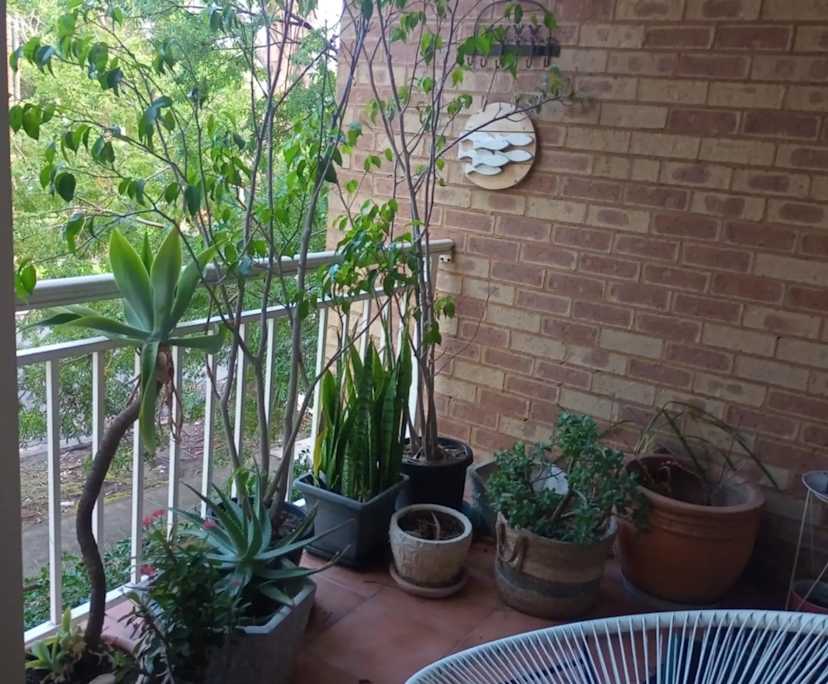 $255, Flatshare, 2 bathrooms, Caringbah NSW 2229