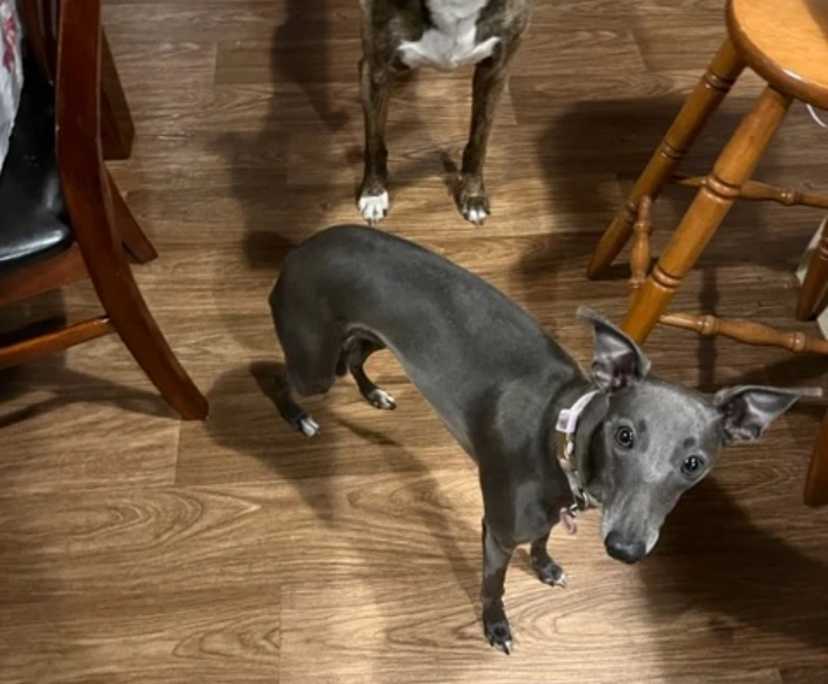 $250, Share-house, 4 bathrooms, Belgrave VIC 3160