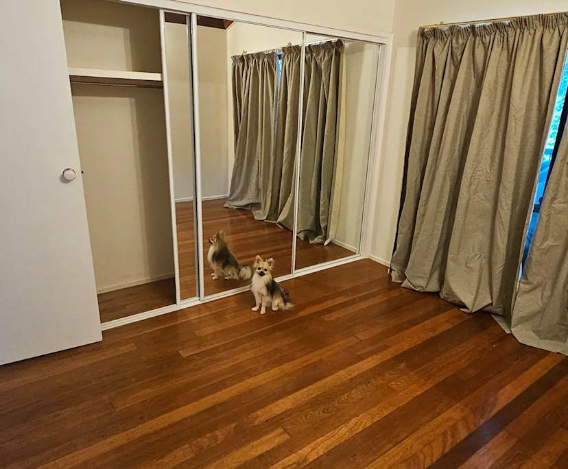 $250, Share-house, 5 bathrooms, Advancetown QLD 4211