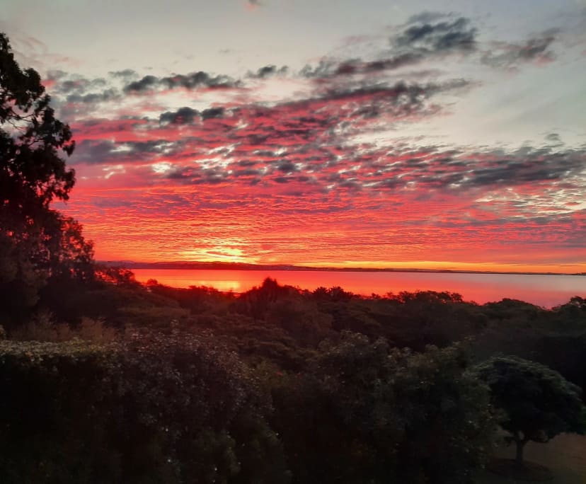 $380, Share-house, 4 bathrooms, Wellington Point QLD 4160