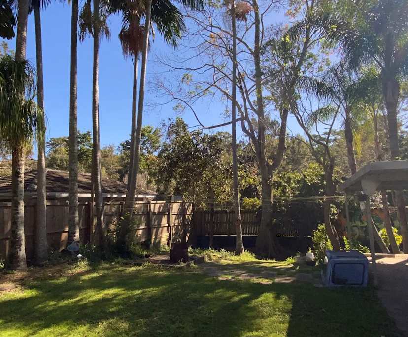 Room in a share house