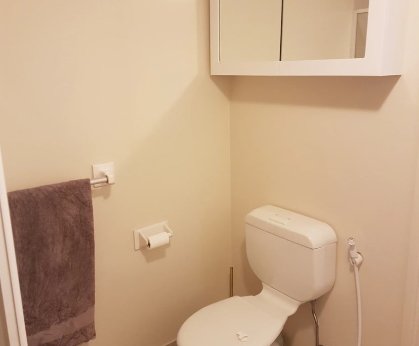 $250, Share-house, 4 bathrooms, Casula NSW 2170