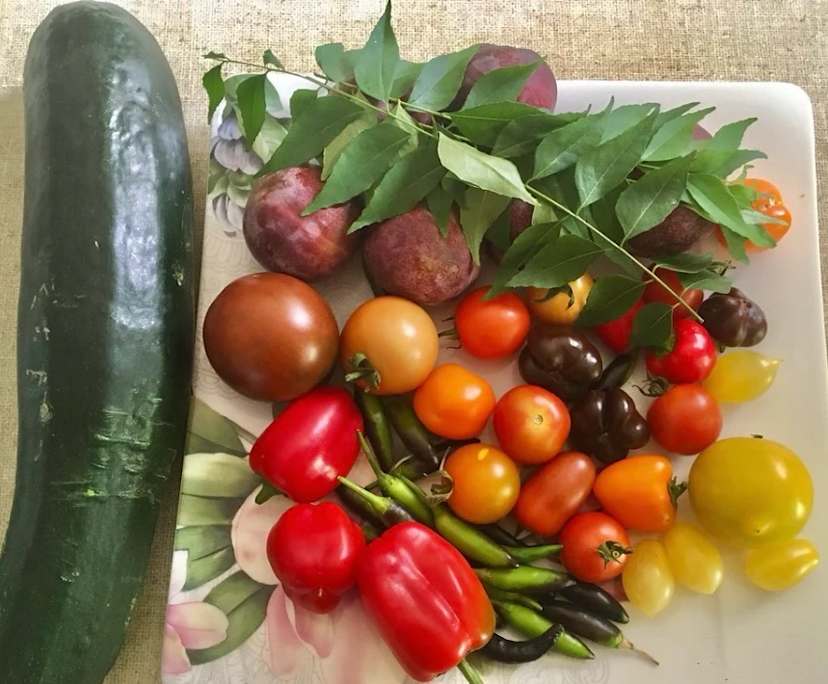 $350-400, Share-house, 3 rooms, Camberwell VIC 3124, Camberwell VIC 3124