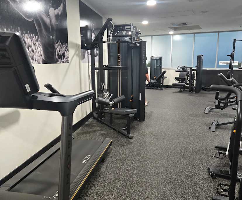 $325, Flatshare, 2 bathrooms, Haymarket NSW 2000